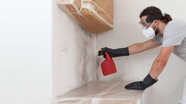 Professional Bathroom Mold Removal technician working in Glen Arm, MD