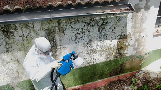 Top rated local Bathroom Mold Removal specialists in Glen Arm, MD